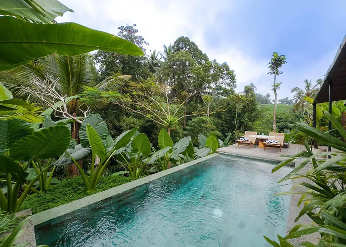Two Bedroom Private Pool Batukaru ヴィラ *